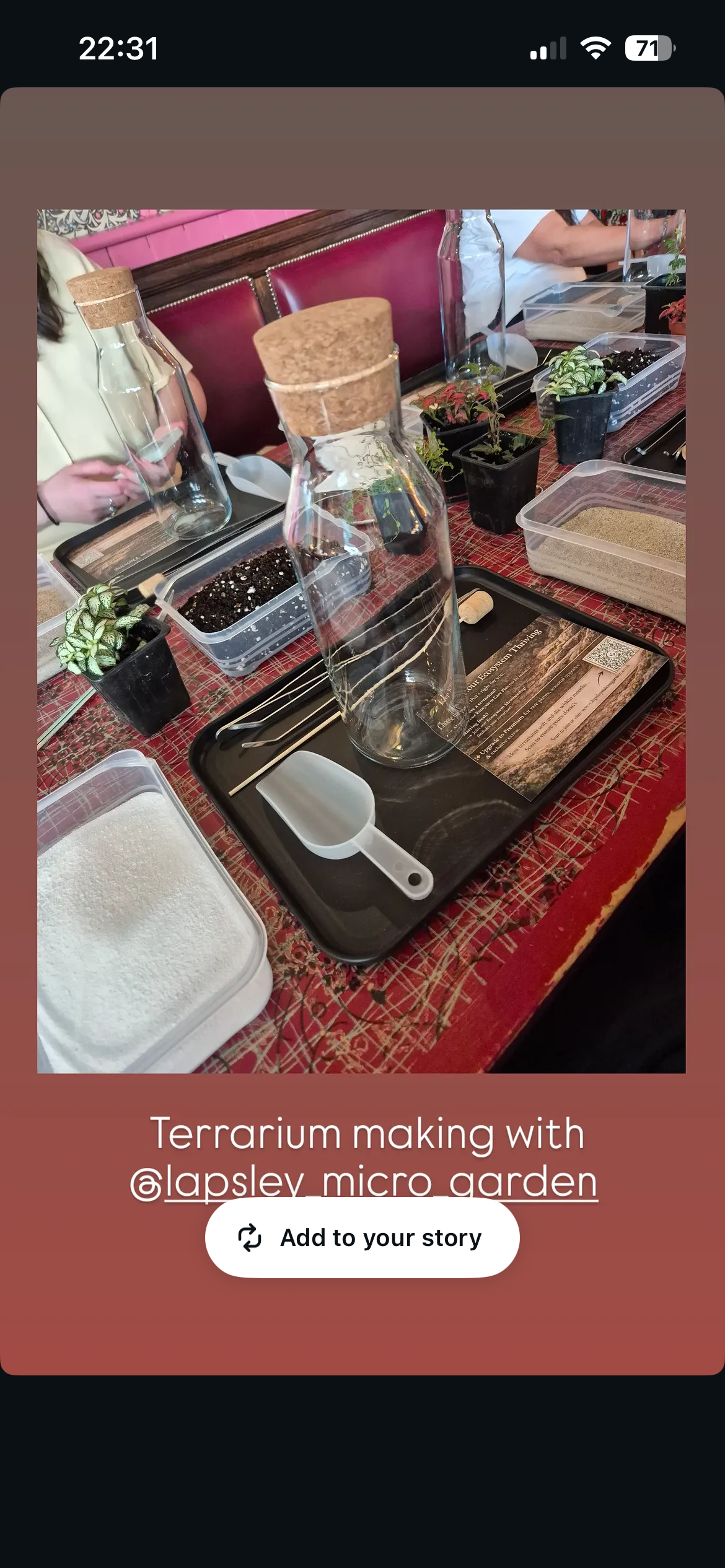 In Person Terrarium Workshops