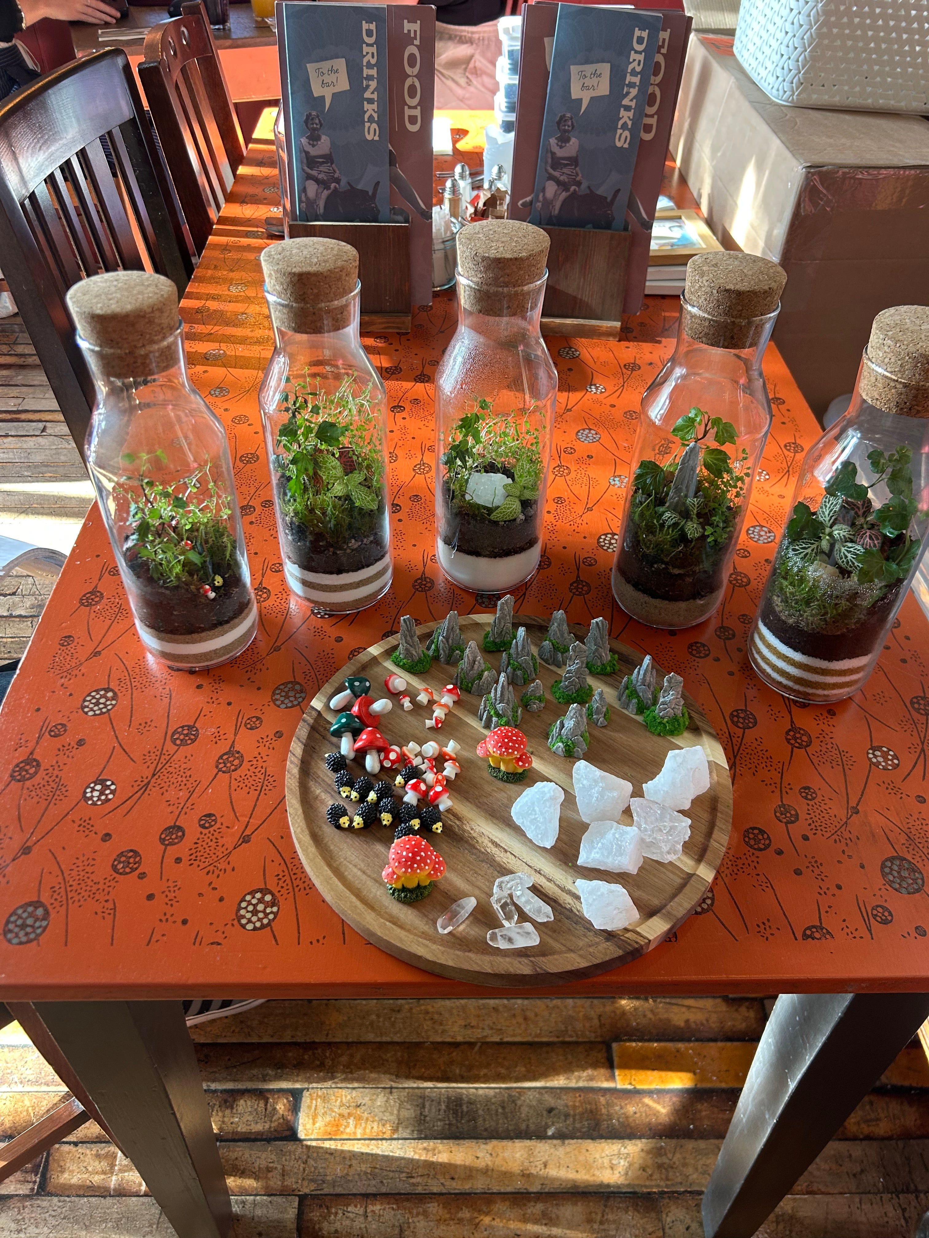 In Person Terrarium Workshops