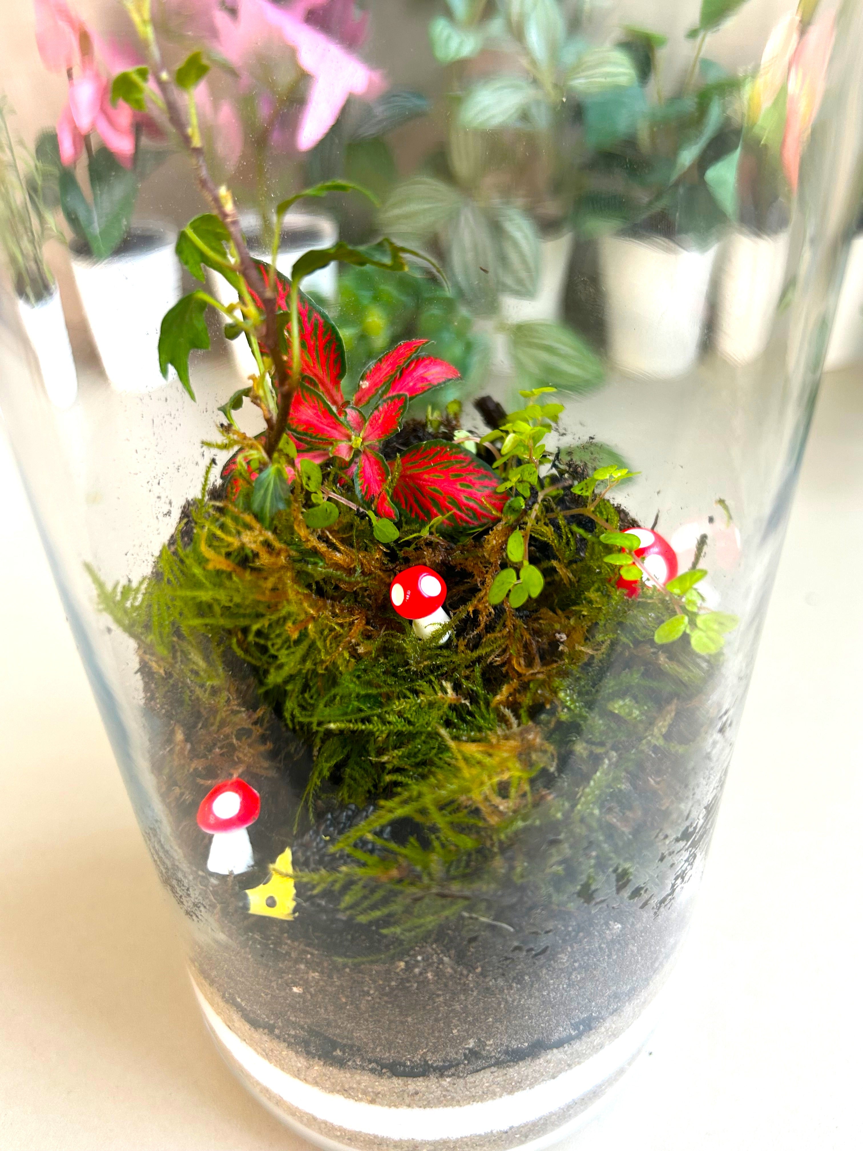 Hedgehog Woodland DIY Terrarium Kit