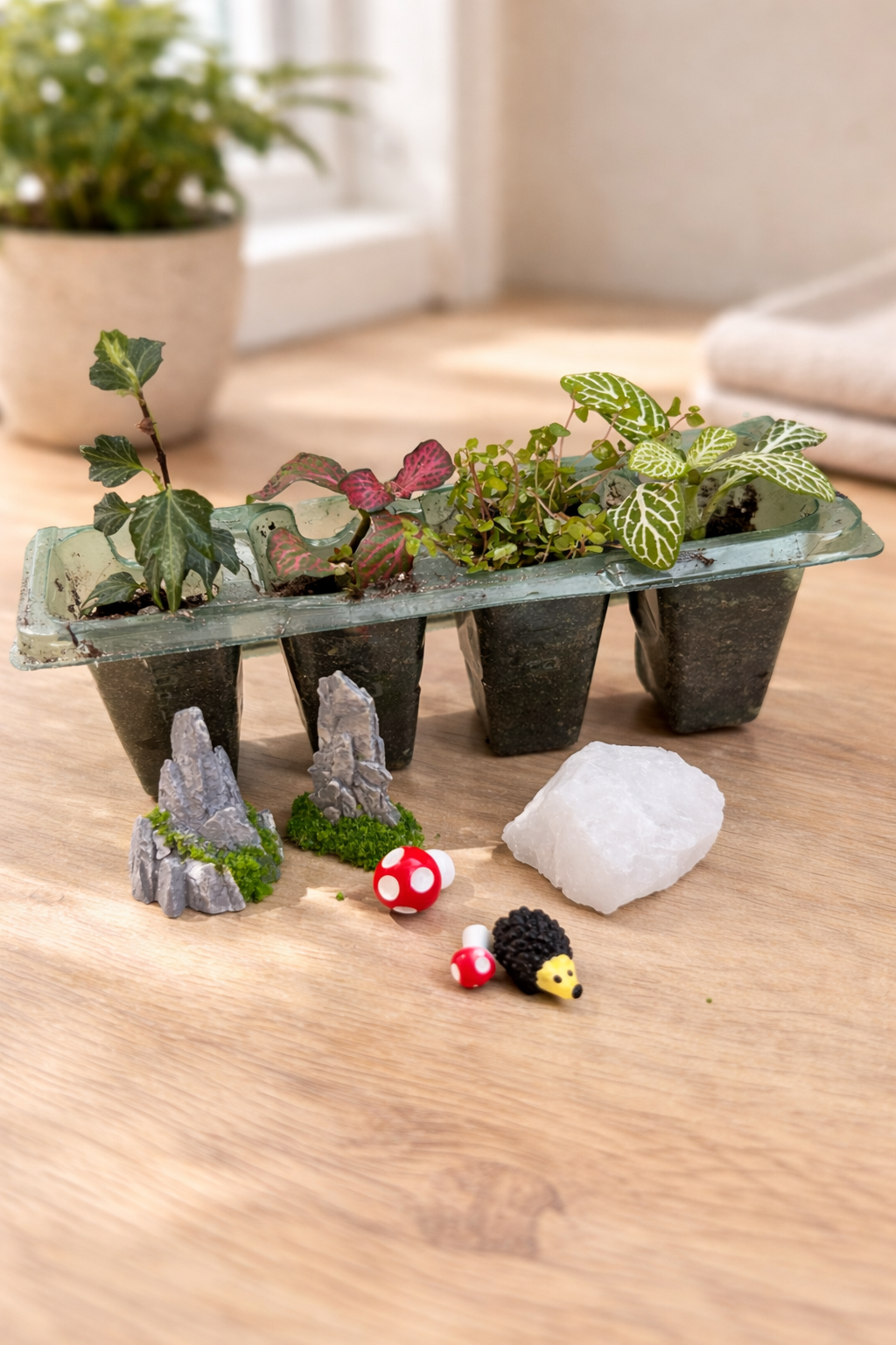 The Ultimate Thriving Terrarium Bundle
