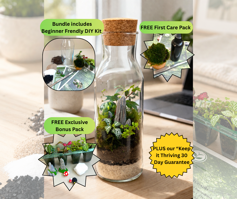 The Ultimate Thriving Terrarium Bundle