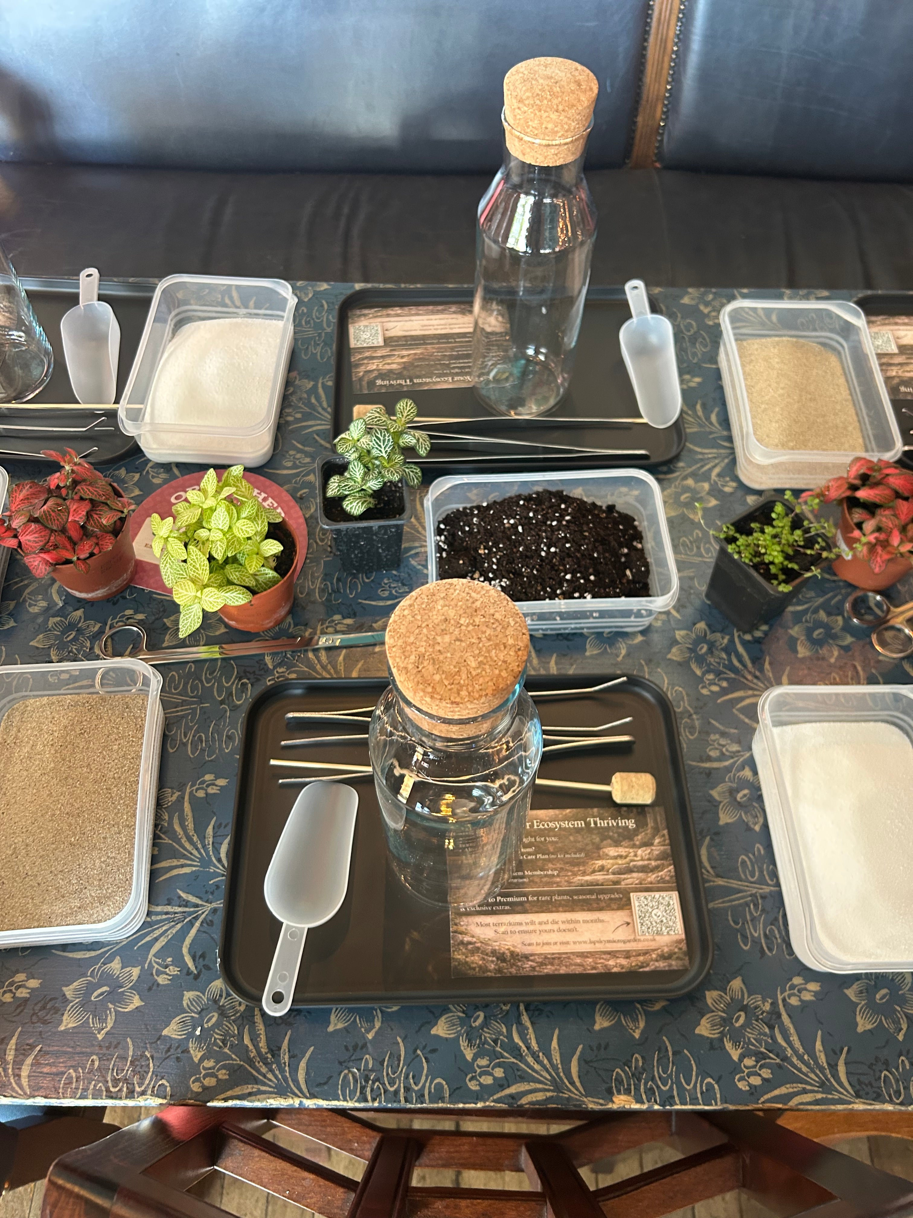 In Person Terrarium Workshops