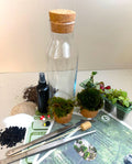Hedgehog Woodland DIY Terrarium Kit