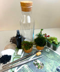 Calming Garden Crystal DIY Terrarium Kit
