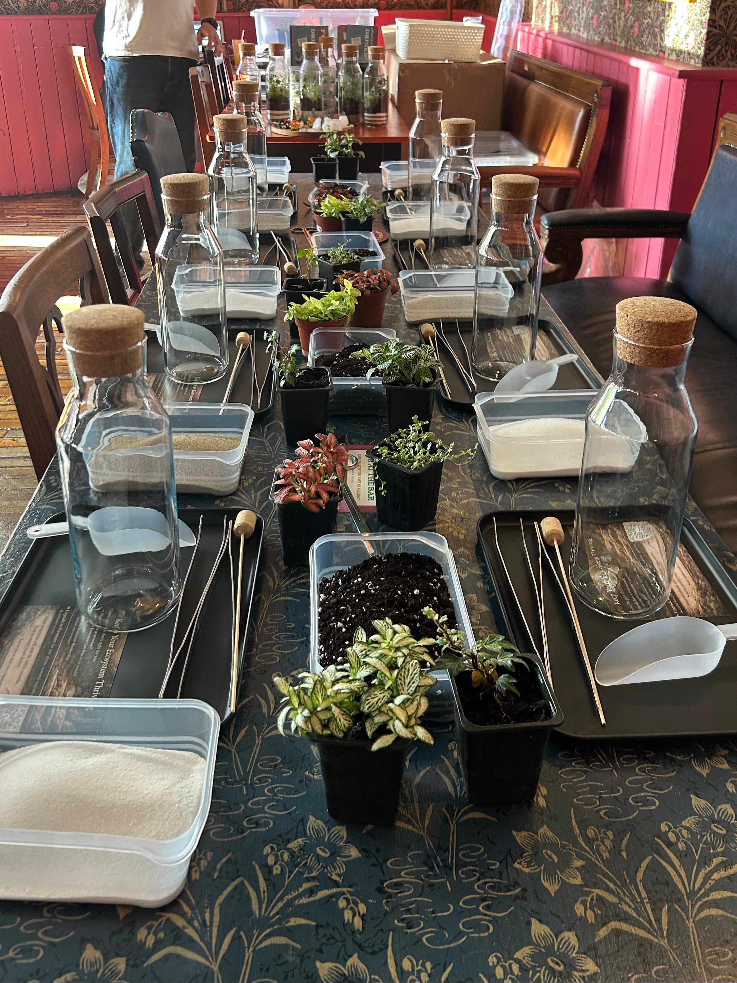 In Person Terrarium Workshops