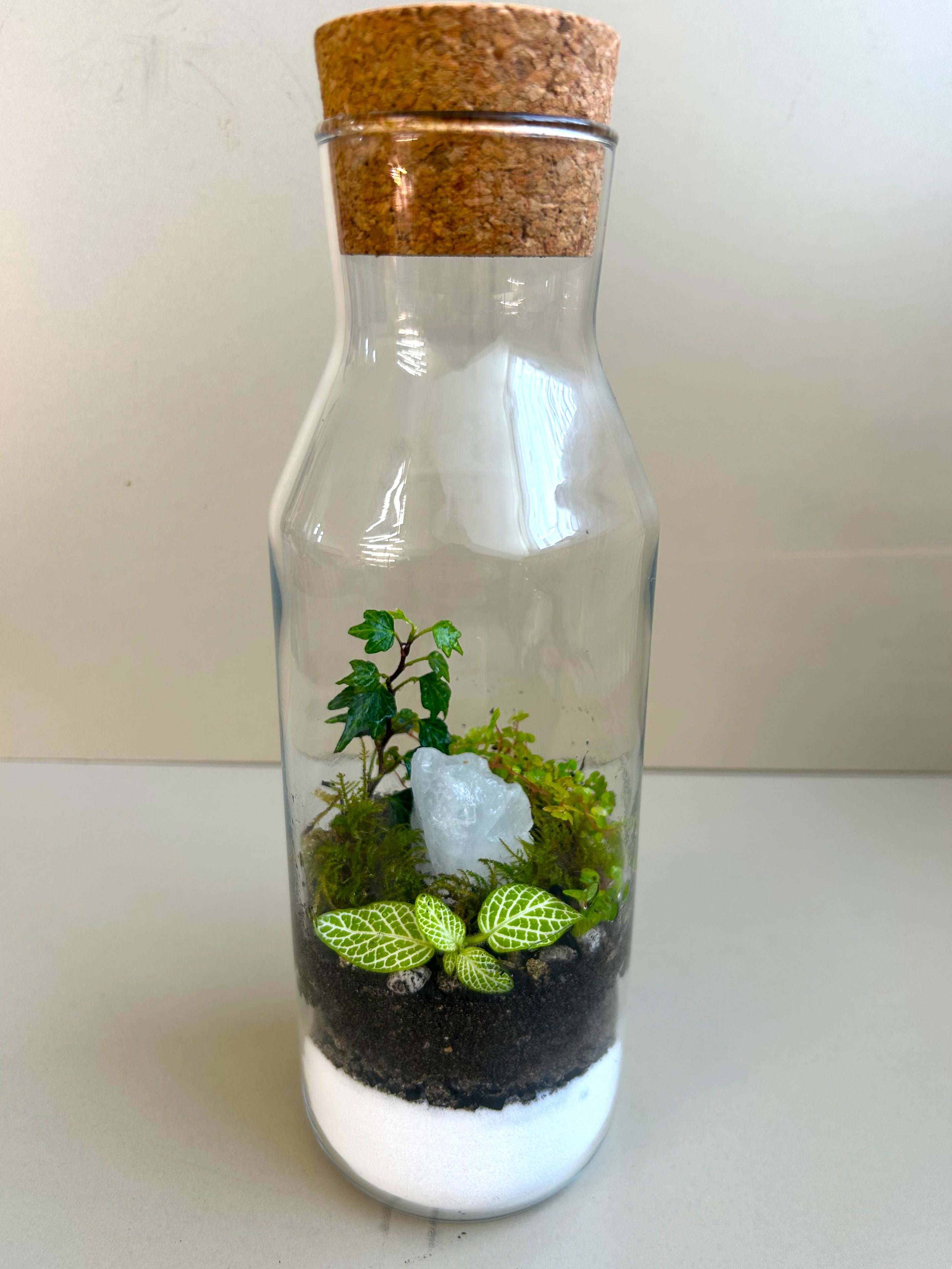 Calming Garden Crystal DIY Terrarium Kit