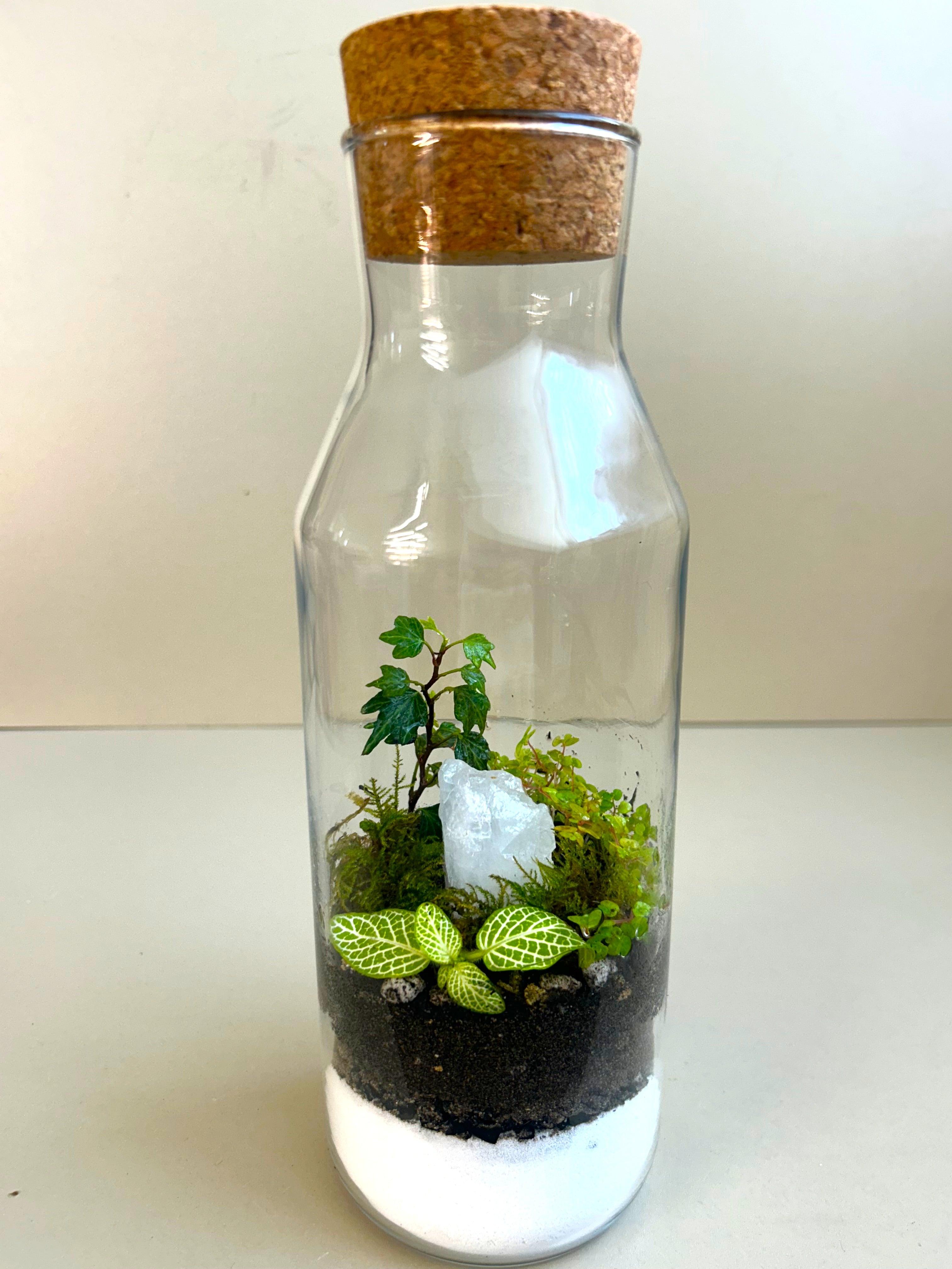 Calming Garden Crystal DIY Terrarium Kit