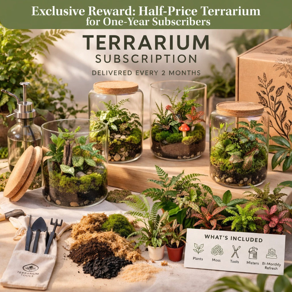 Ecosystem Care Plans