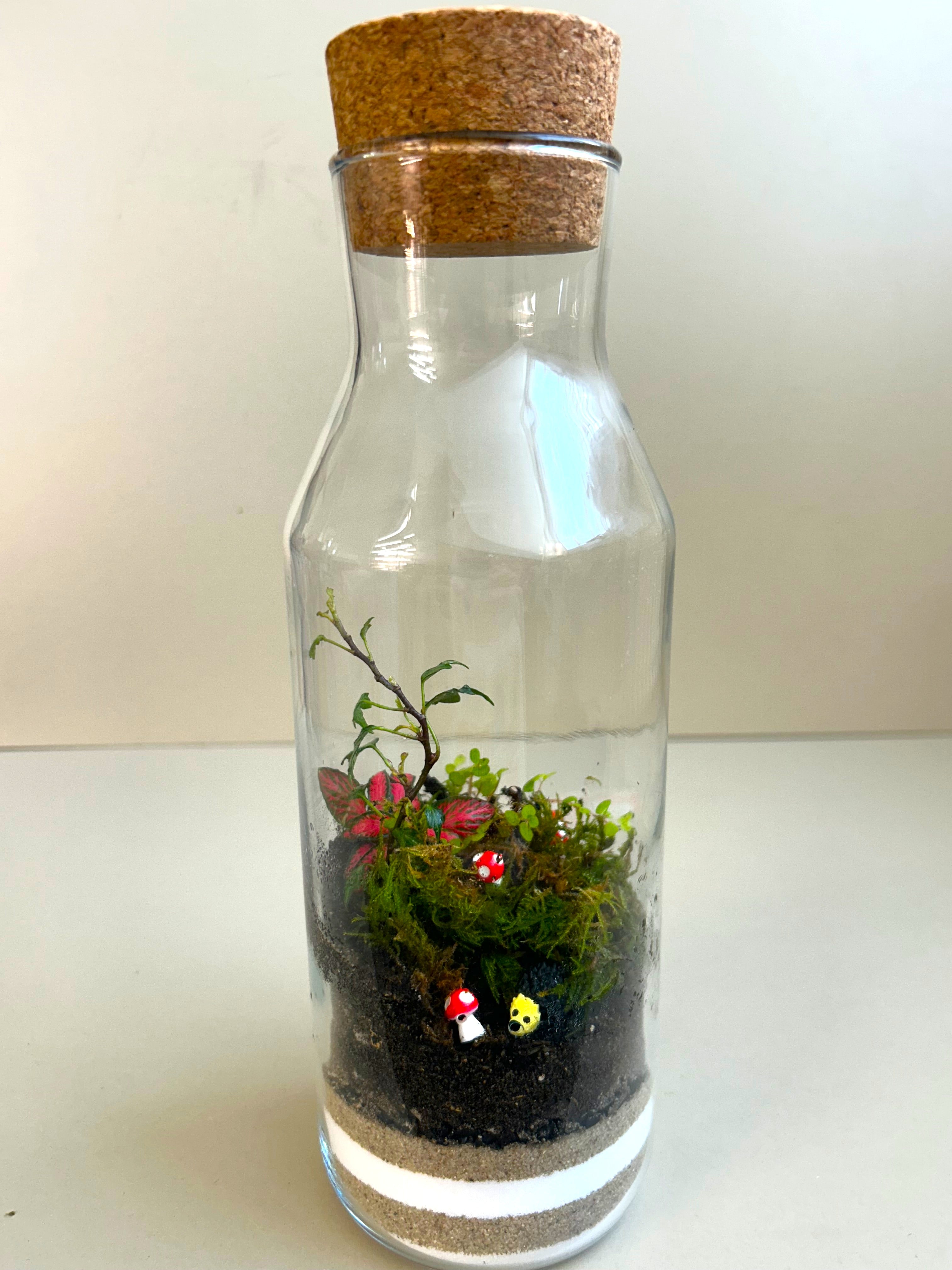 Hedgehog Woodland DIY Terrarium Kit