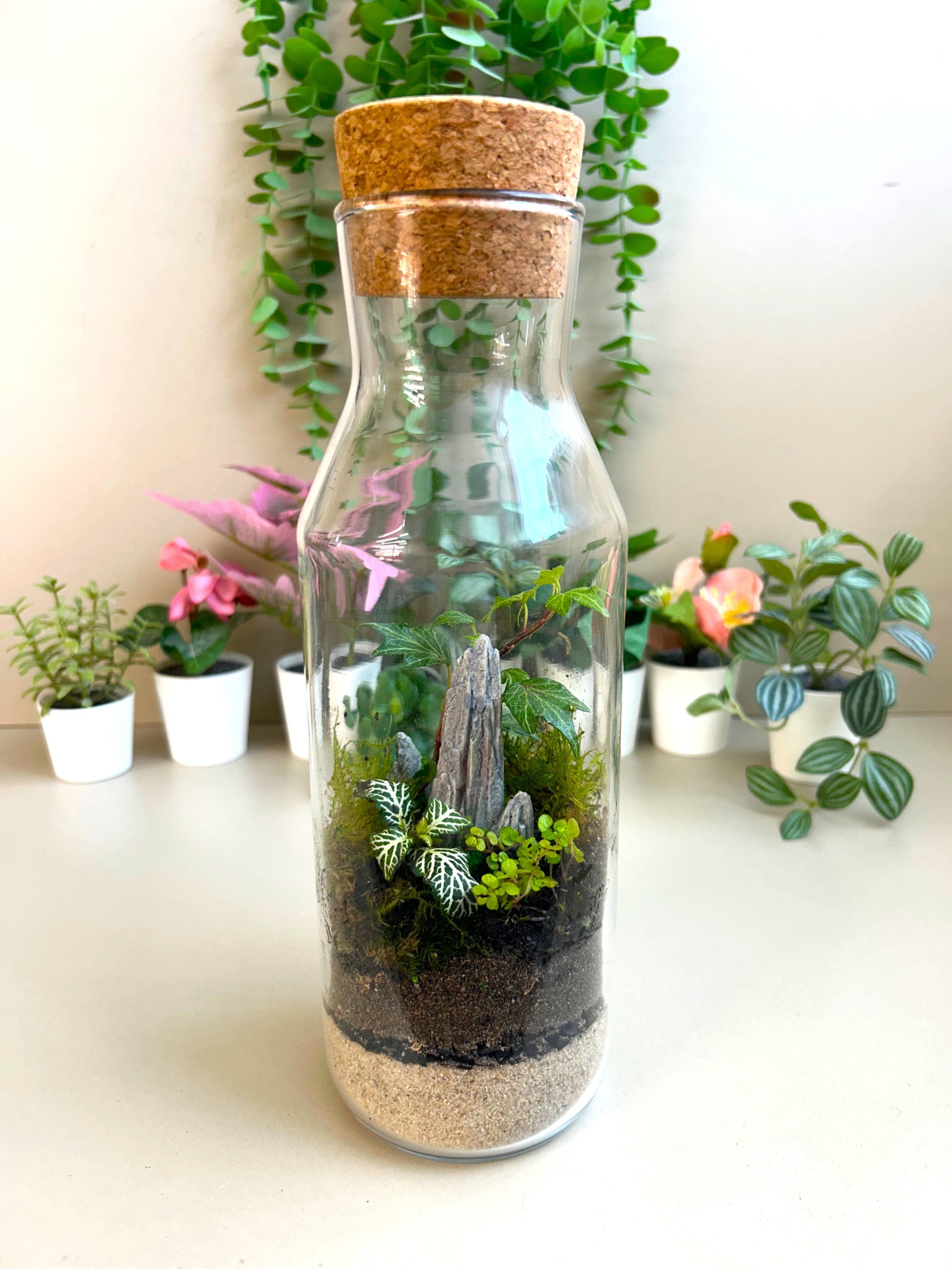 DIY Terrarium Kit for Beginners – Rockspire Glass Terrarium Gift Set
