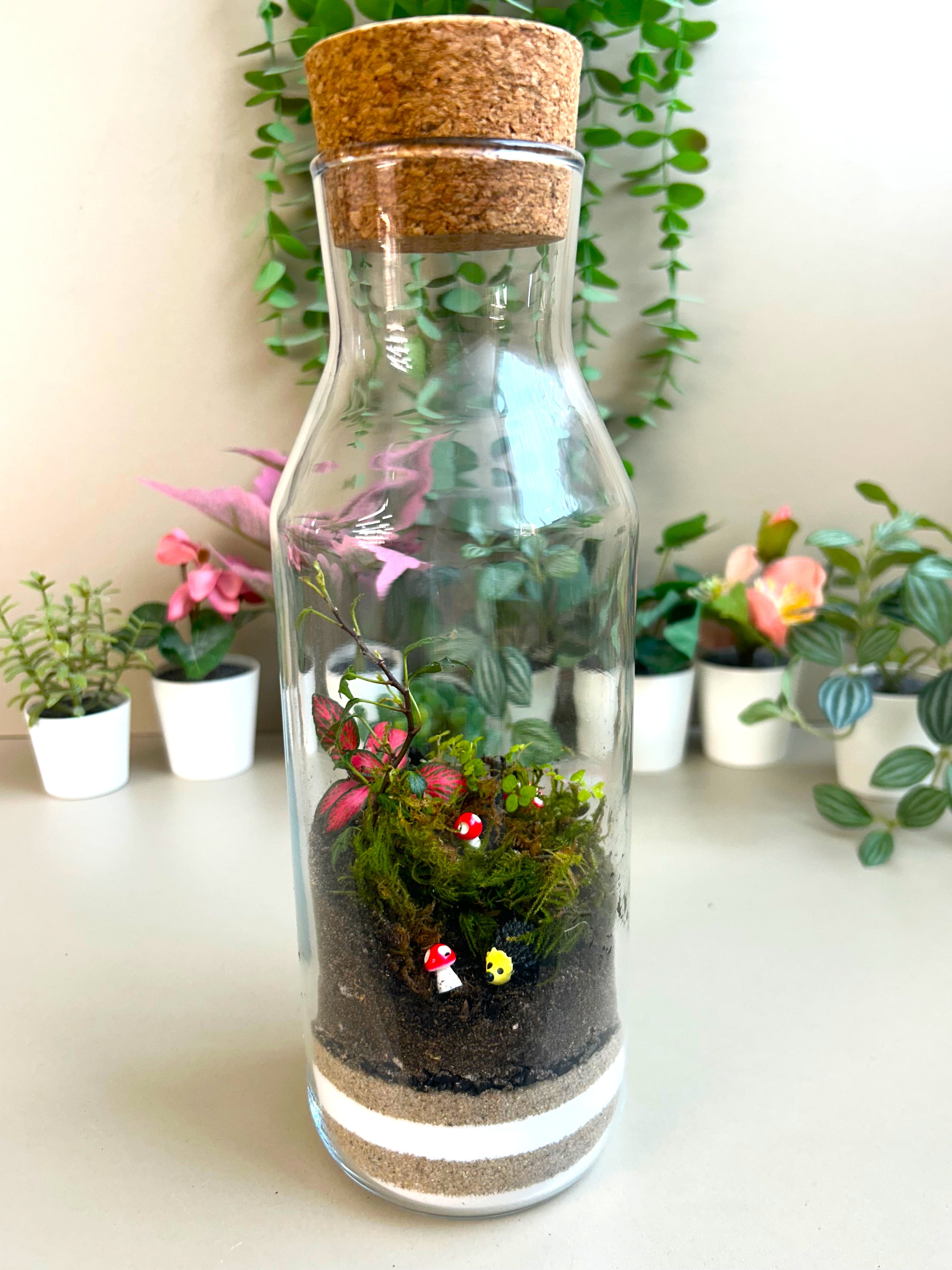 Hedgehog Woodland DIY Terrarium Kit
