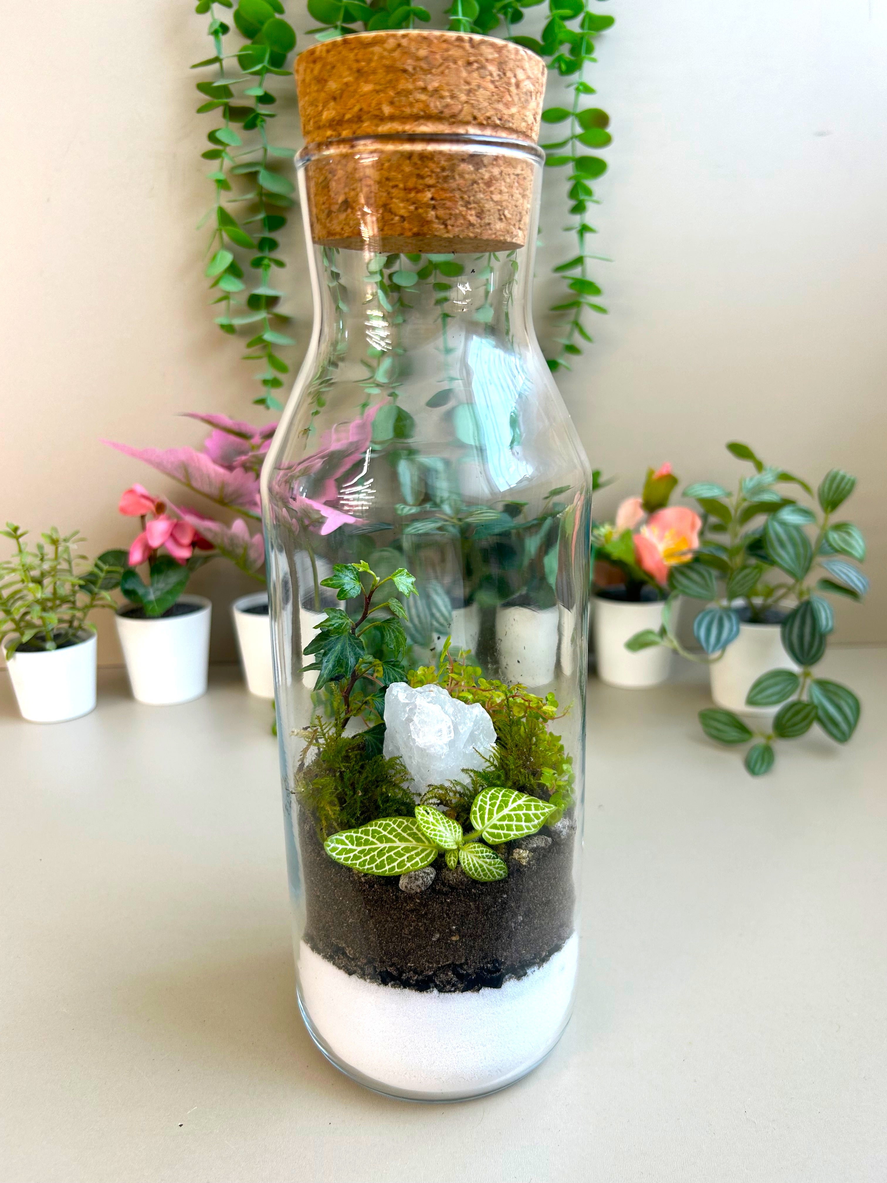 Calming Garden Crystal DIY Terrarium Kit