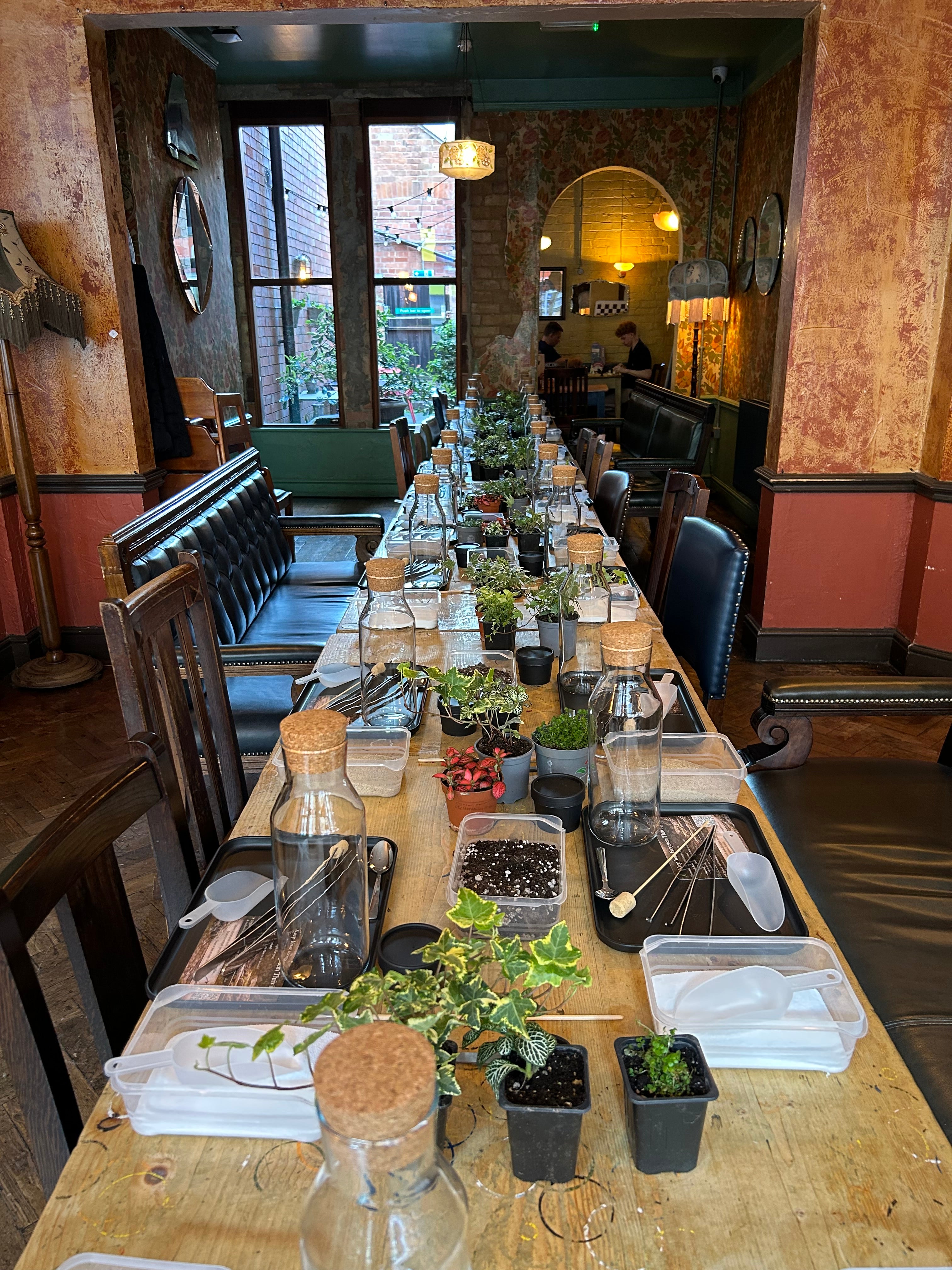 In Person Terrarium Workshops