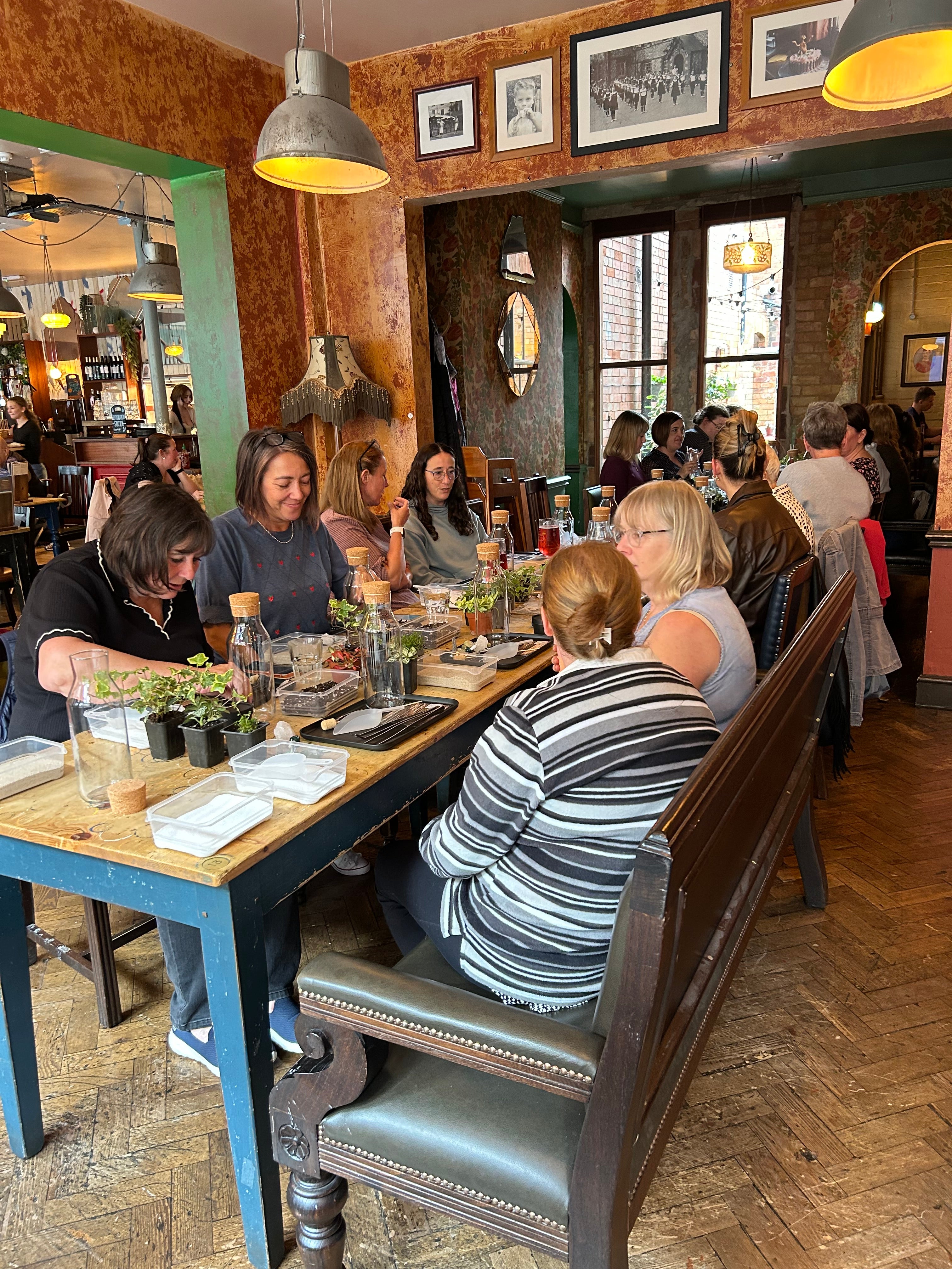 In Person Terrarium Workshops