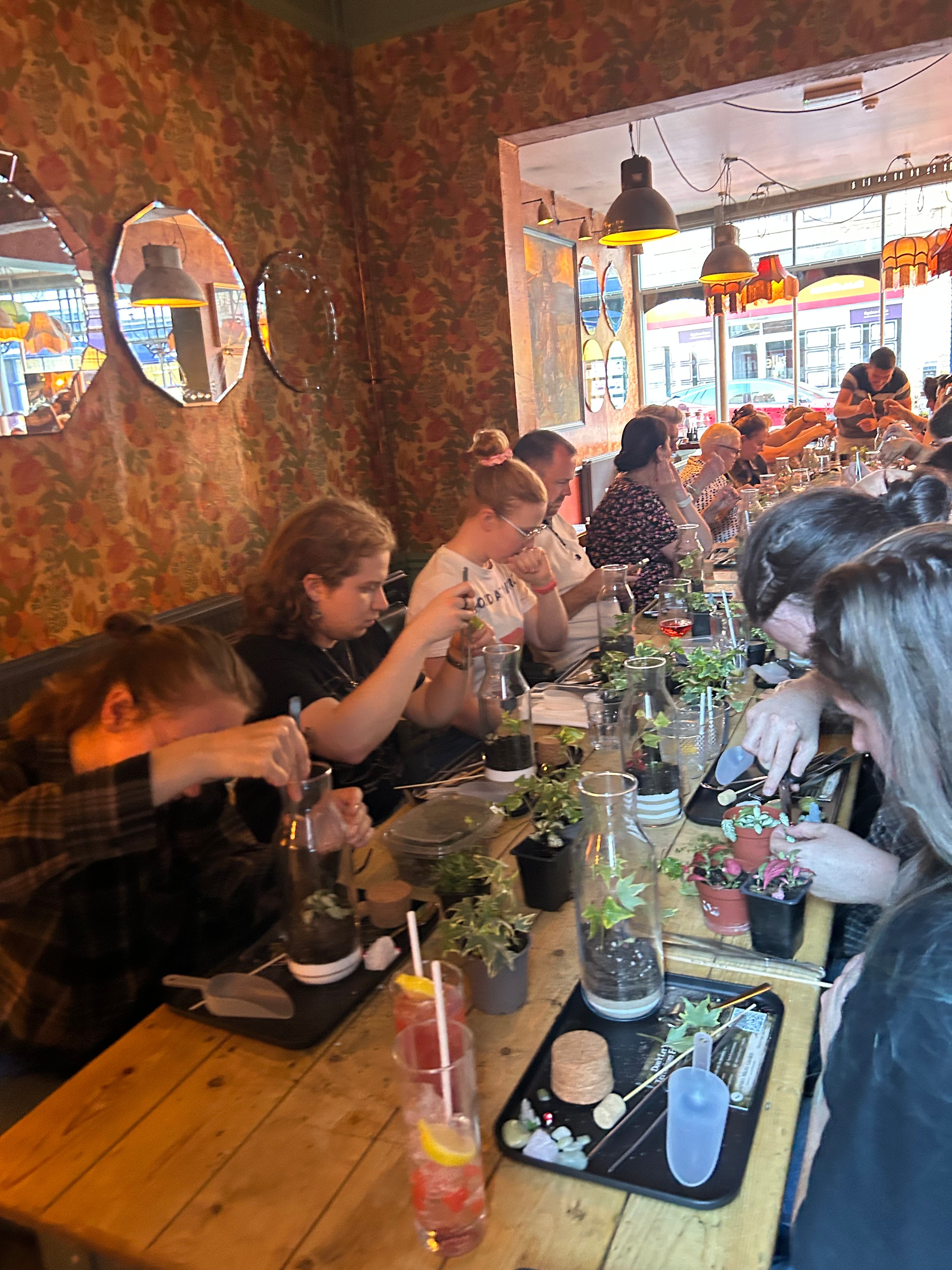 In Person Terrarium Workshops
