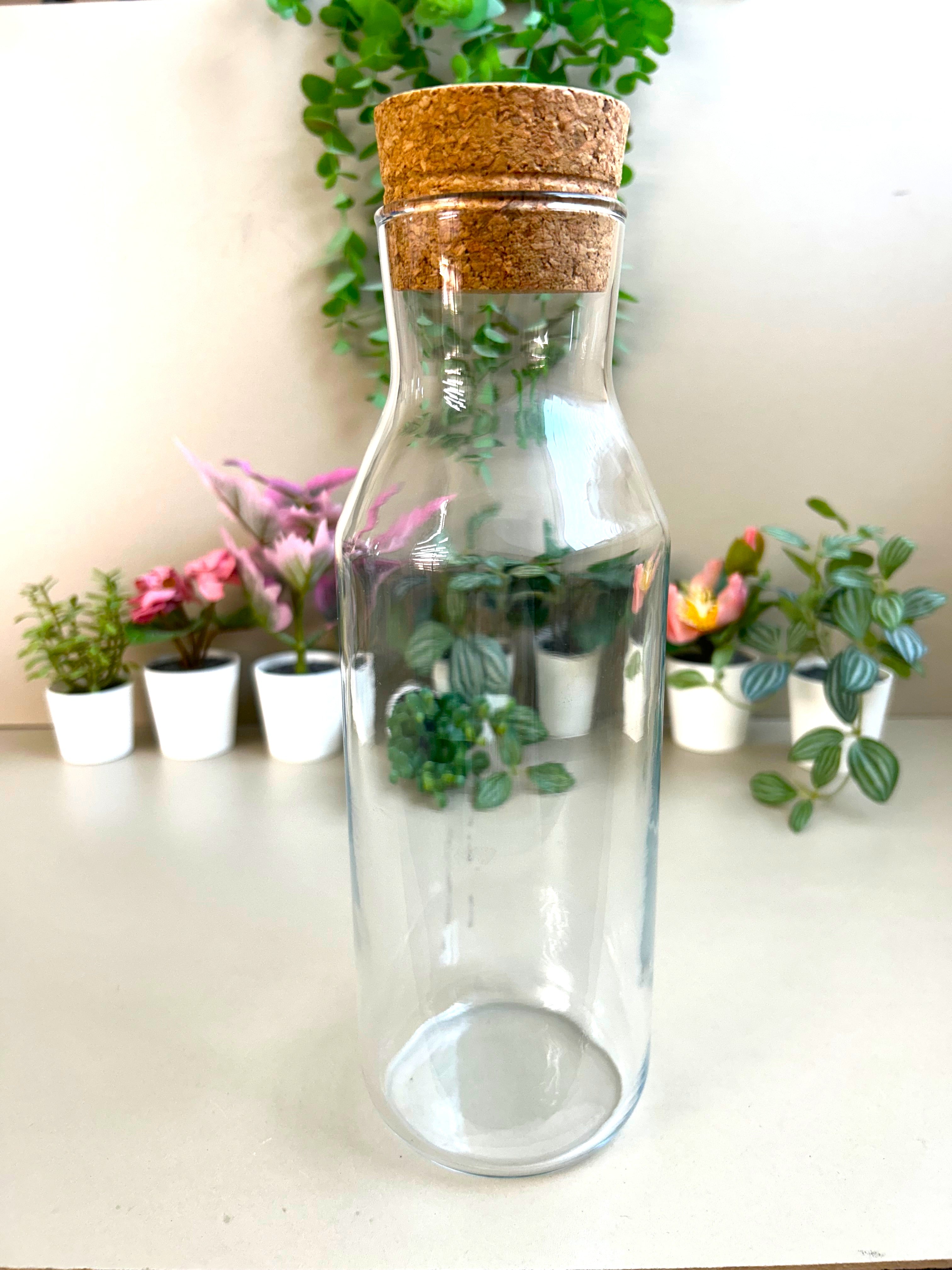 Calming Garden Crystal DIY Terrarium Kit