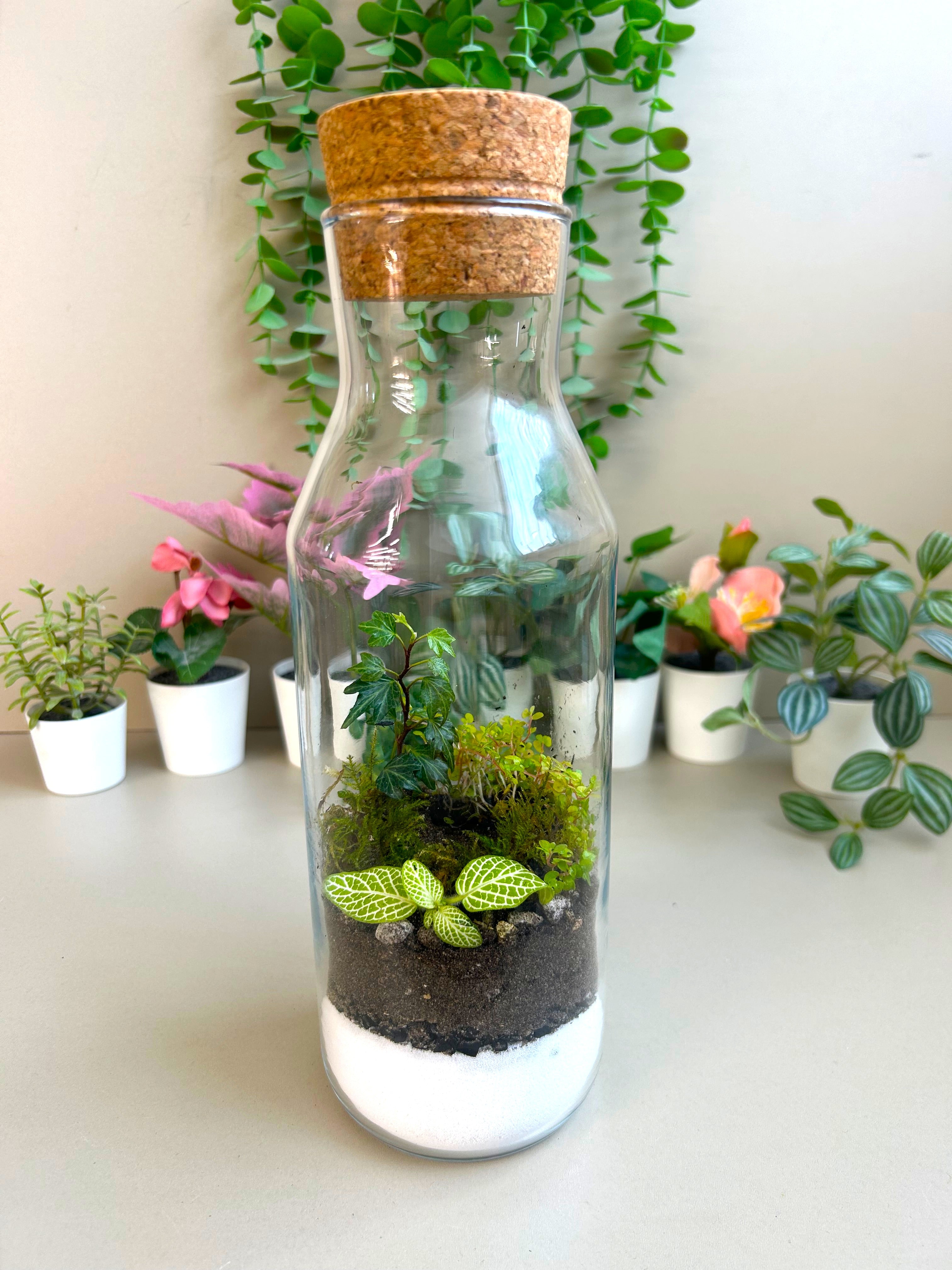 Calming Garden Crystal DIY Terrarium Kit