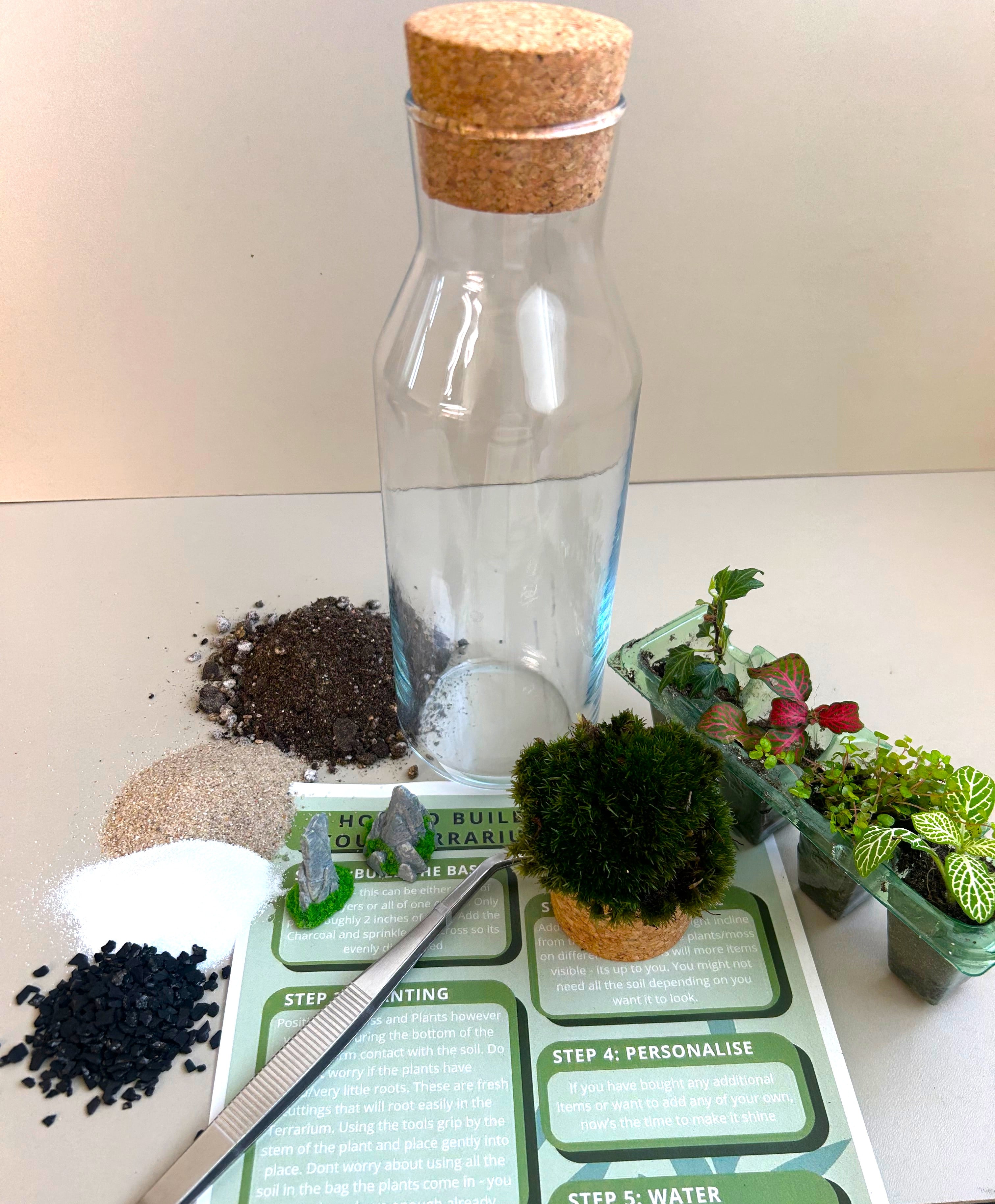 DIY Terrarium Kit for Beginners – Rockspire Glass Terrarium Gift Set