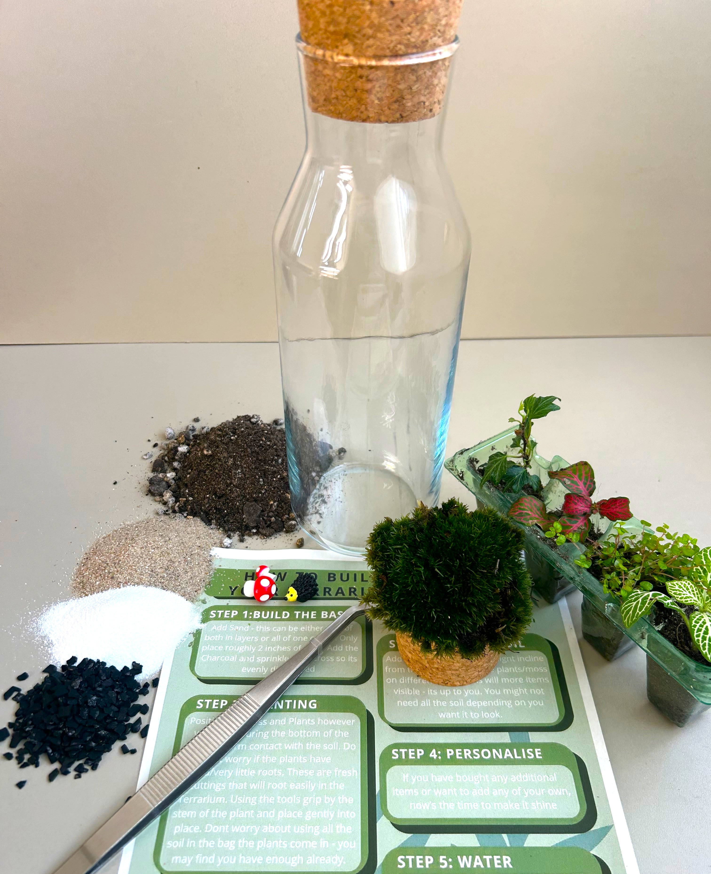 Hedgehog Woodland DIY Terrarium Kit