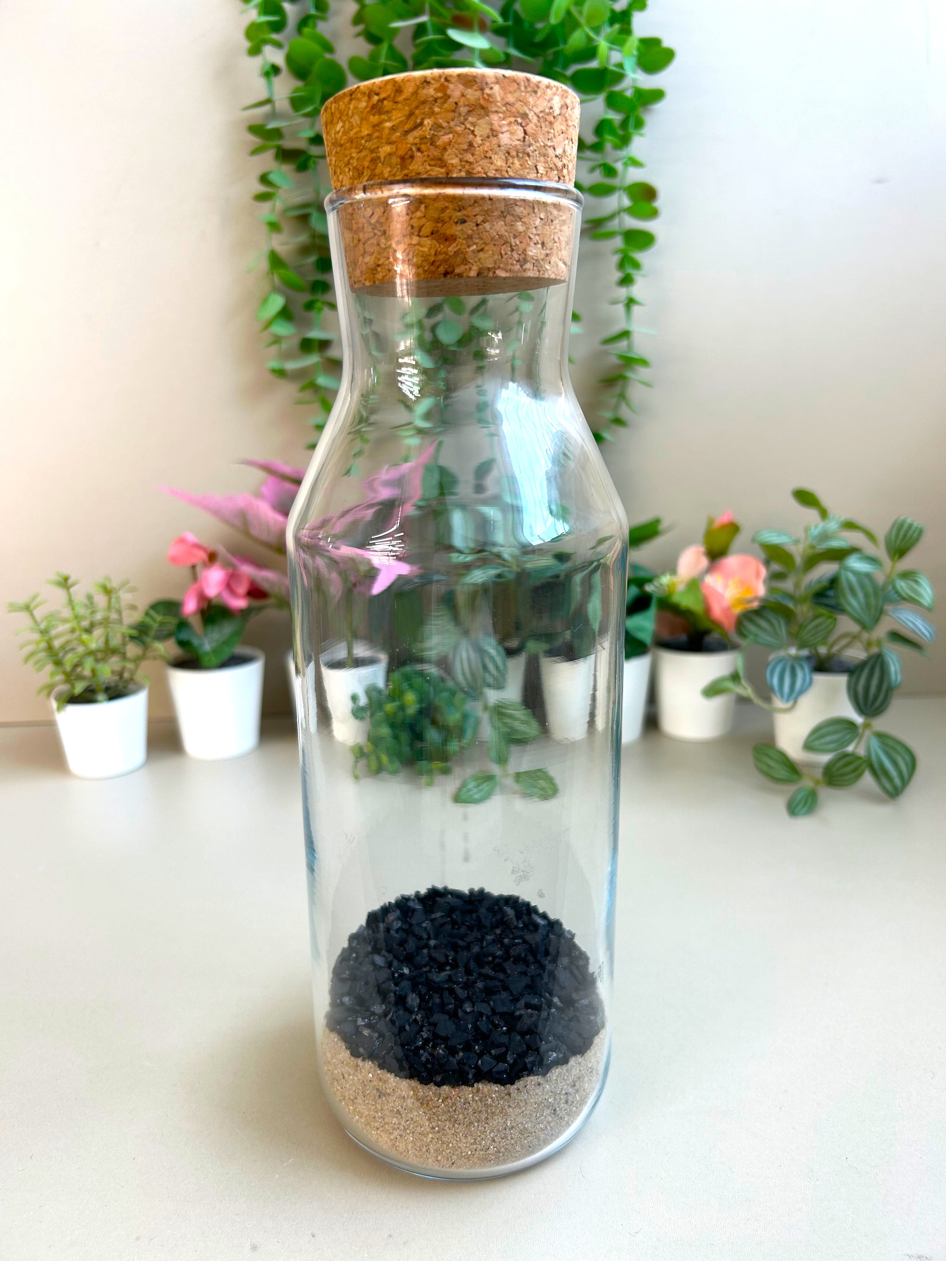DIY Terrarium Kit for Beginners – Rockspire Glass Terrarium Gift Set