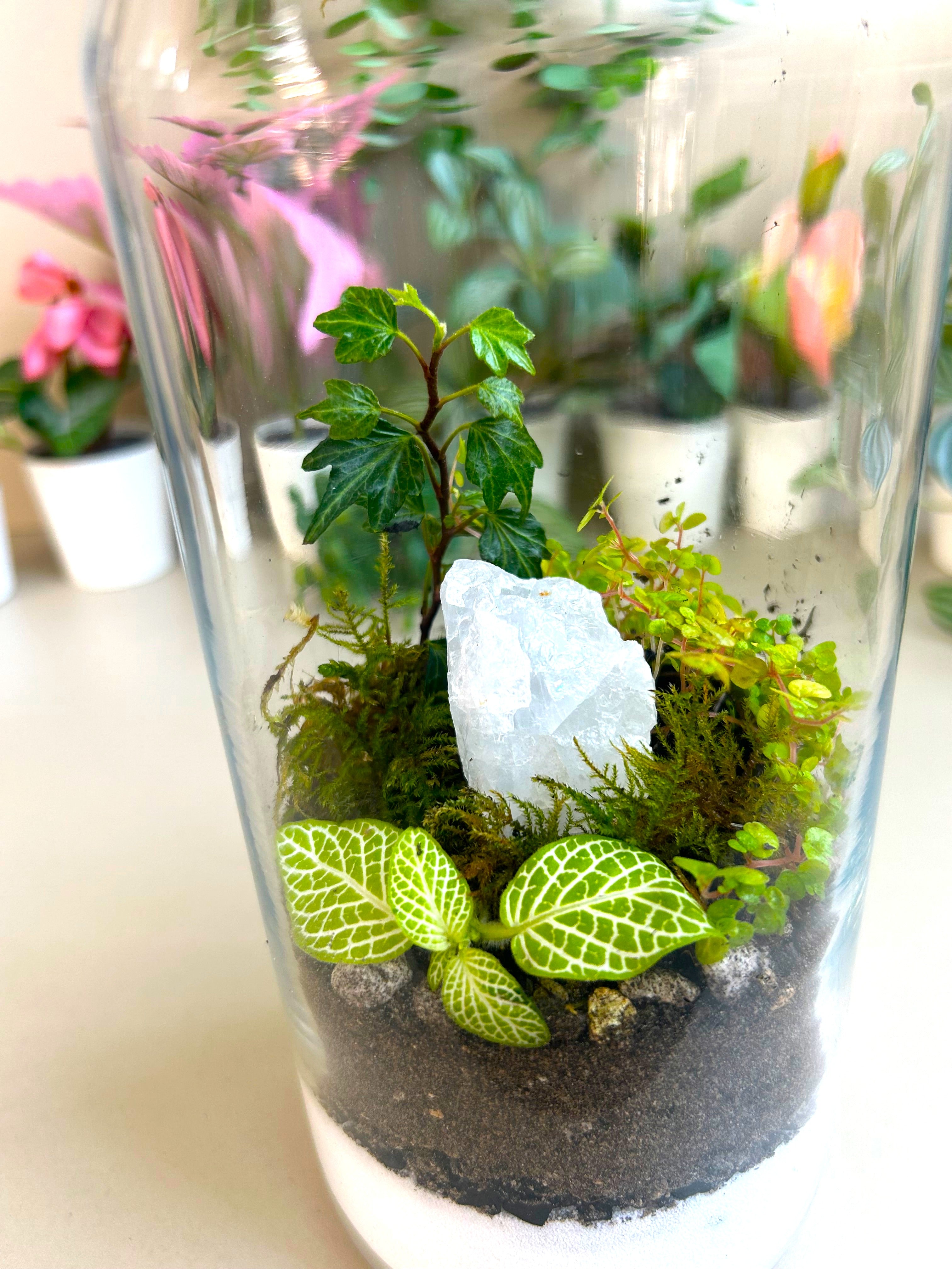 Calming Garden Crystal DIY Terrarium Kit