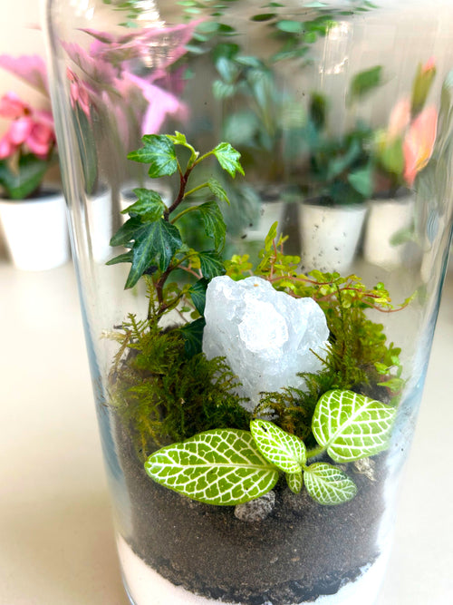 Calming Garden Crystal DIY Terrarium Kit