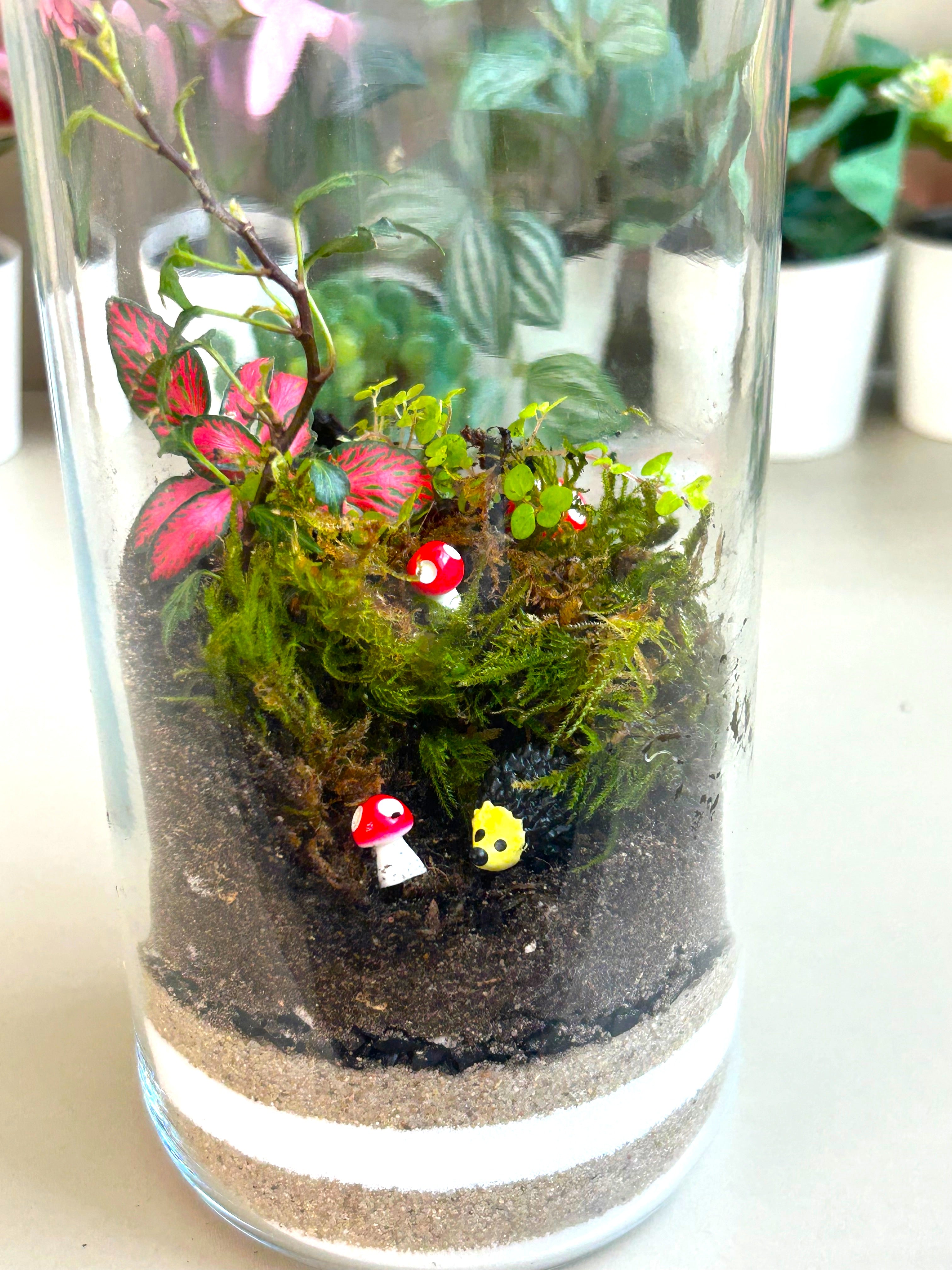 Hedgehog Woodland DIY Terrarium Kit