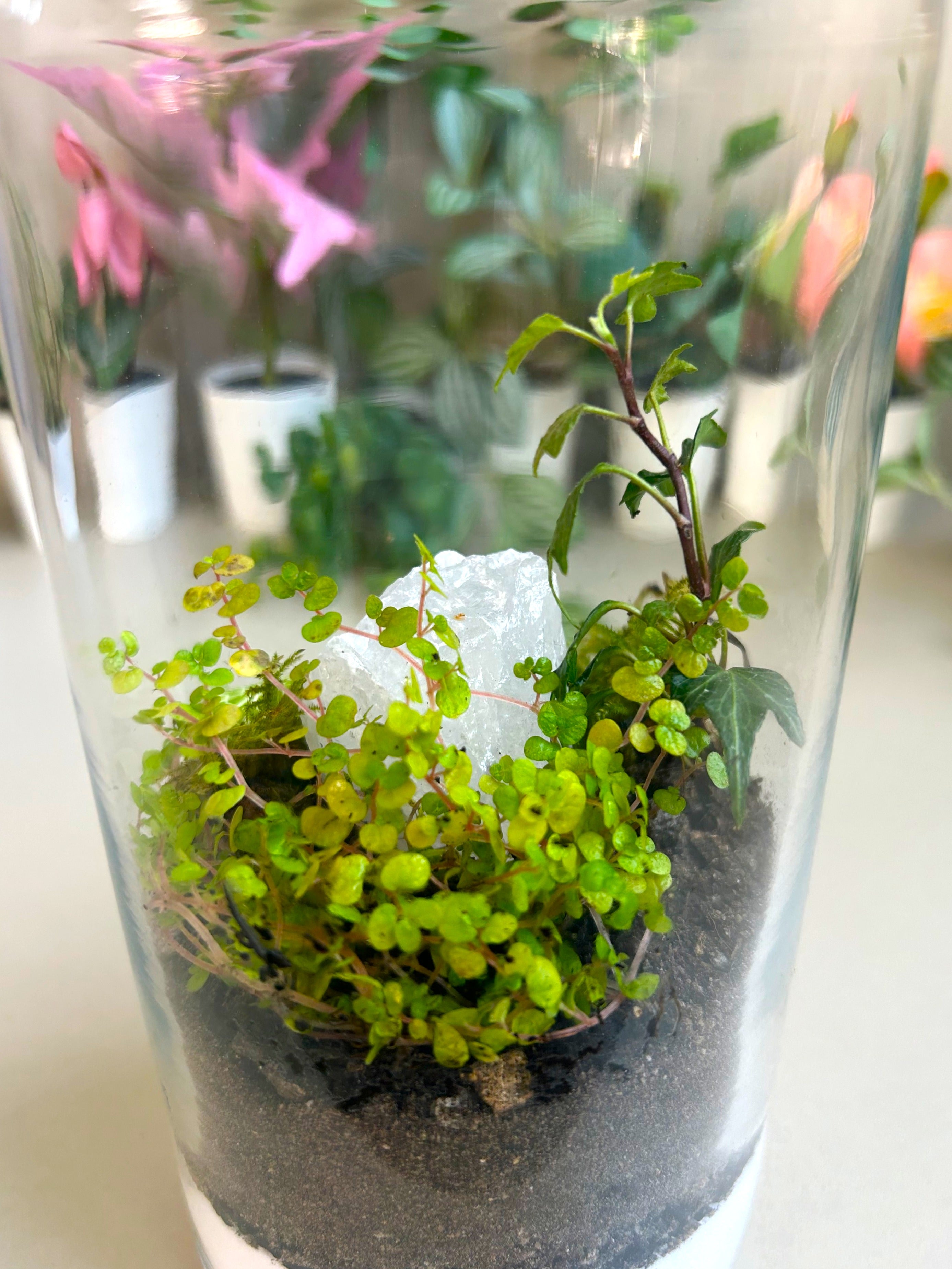 Calming Garden Crystal DIY Terrarium Kit