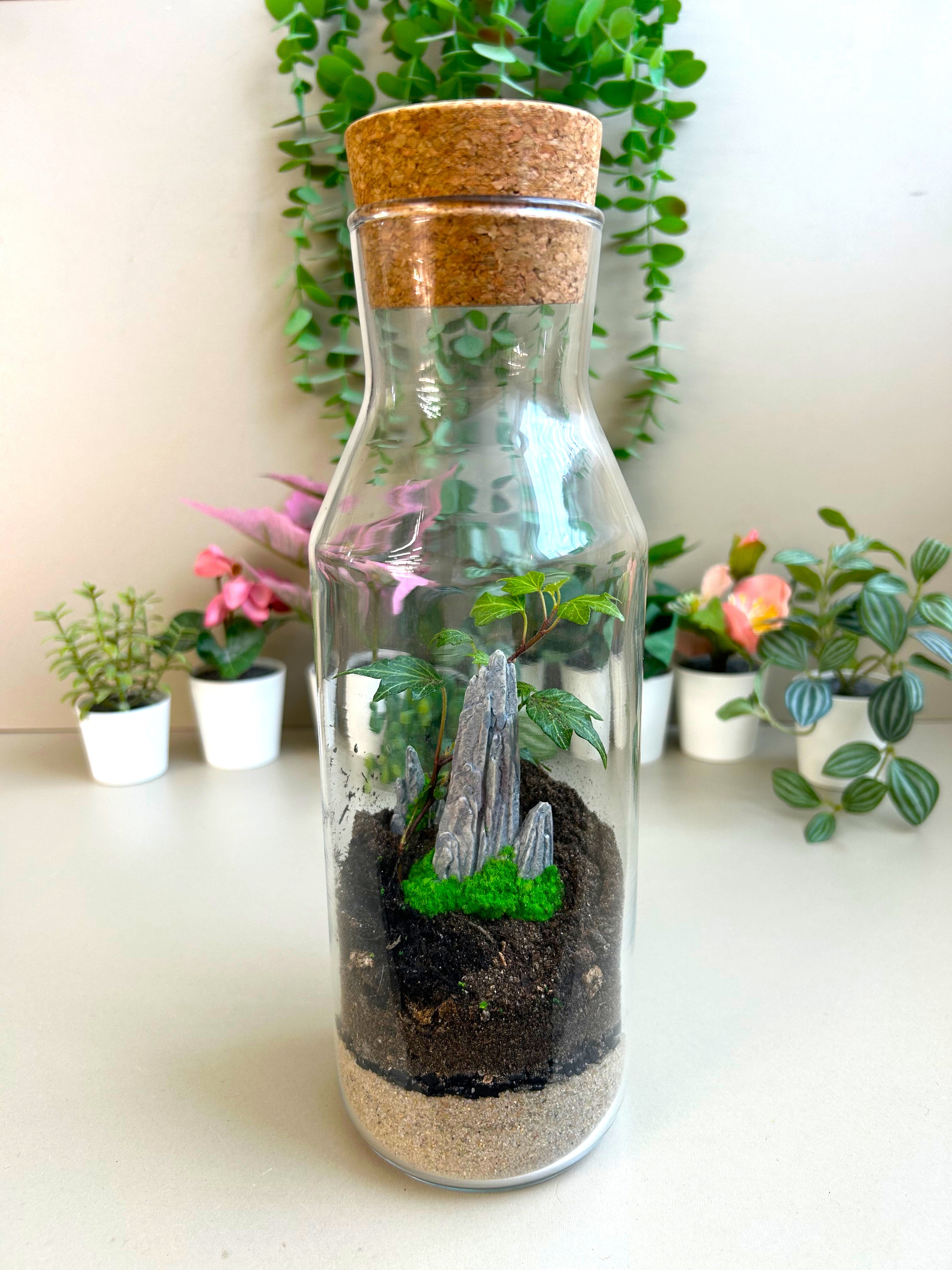 DIY Terrarium Kit for Beginners – Rockspire Glass Terrarium Gift Set