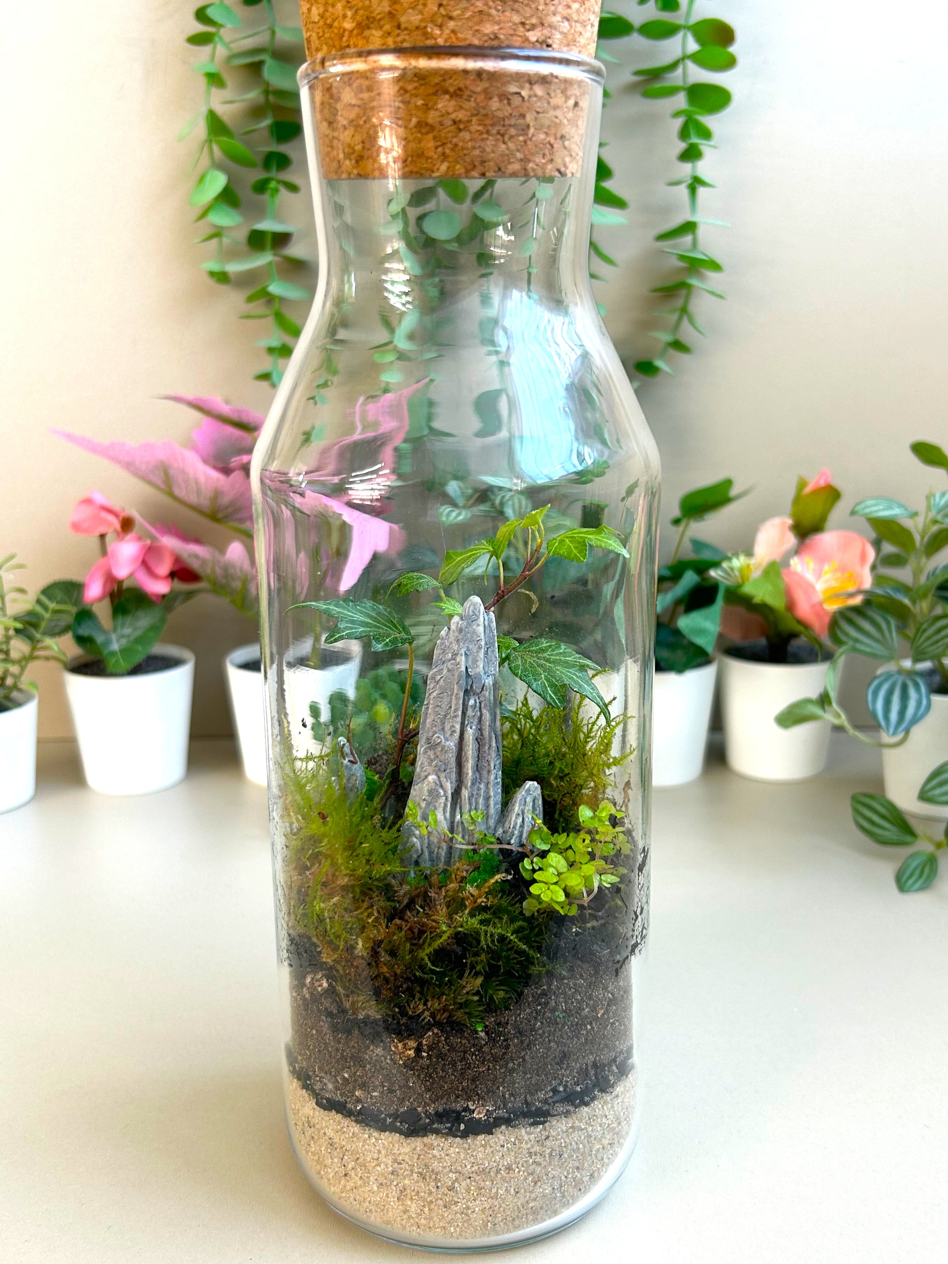 DIY Terrarium Kit for Beginners – Rockspire Glass Terrarium Gift Set