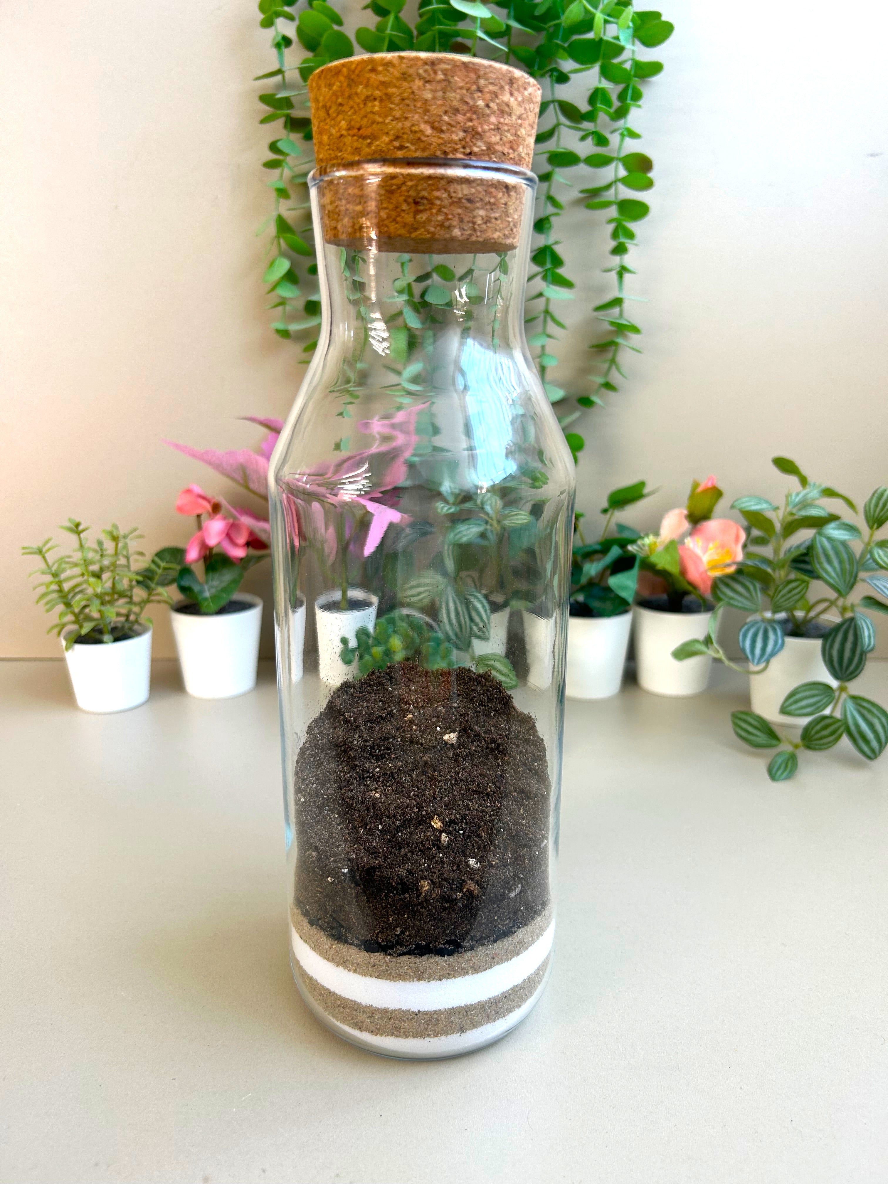 Hedgehog Woodland DIY Terrarium Kit
