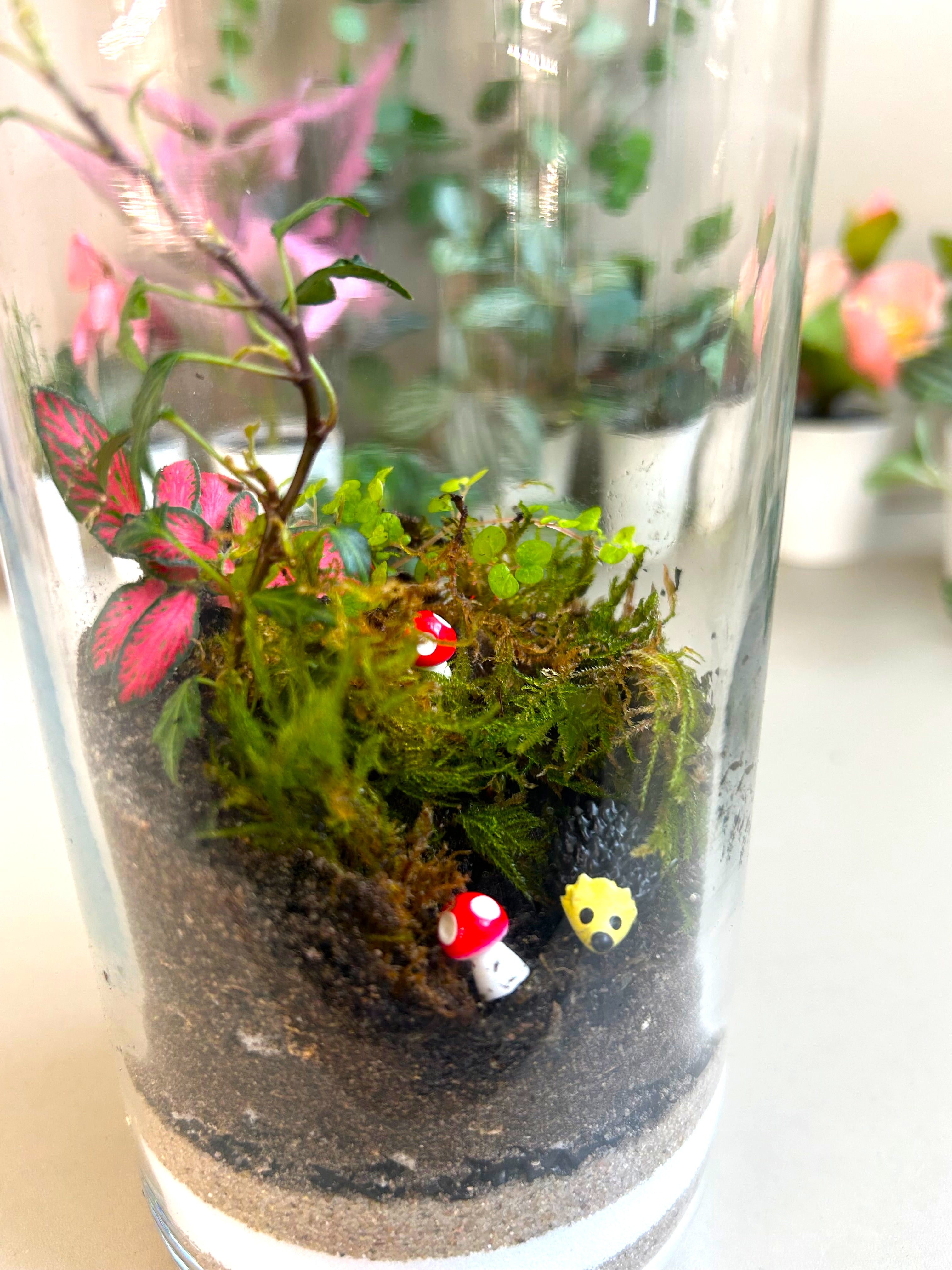Hedgehog Woodland DIY Terrarium Kit